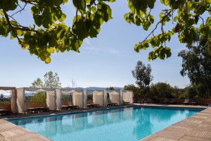 royal-palm-massage (2)